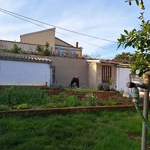 Zefir , Premantura Croazia